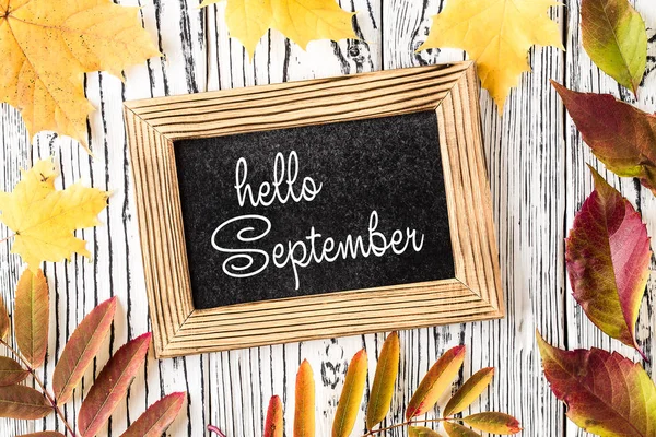 Hello September lettering card. Concept of the fall season — Stock Photo, Image