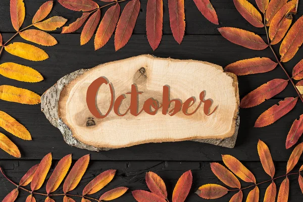 Autumn seasonal flat lay photo. AUTUMN lettering card. — Stock Photo, Image