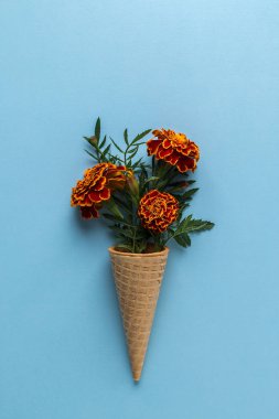 Kadife çiçeği ile Düz koydu Dondurma Konisi