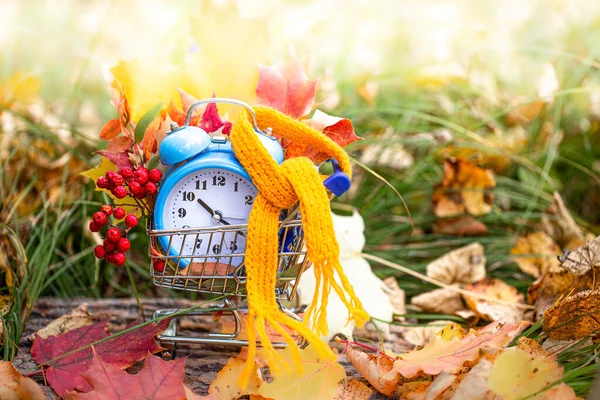 Vintage alarm clock and maple tree leaves in autumn forest. Autumn season image style. Fall Back Daylight Saving Time concept. Daylight savings time. autumn season. fall time. copy space