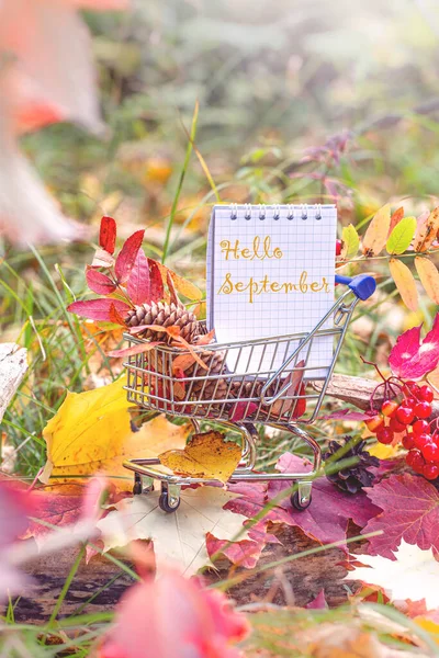 Jesienny sezon. liści klonu, jagód i zeszytu w wózku sklepowym. — Zdjęcie stockowe