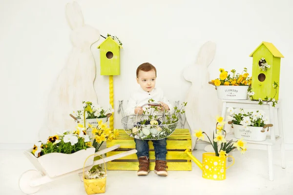 黄色のベンチにイースターバスケット付きの小さな男の子の座席 カラフルな卵を持つイースターバスケットの小さな男の子 コンセプトイースターと木製の装飾 — ストック写真