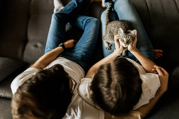 Ovanifrån Unga Par Med Bedårande Katt Sitter Soffan Lycklig Familj — Stockfoto