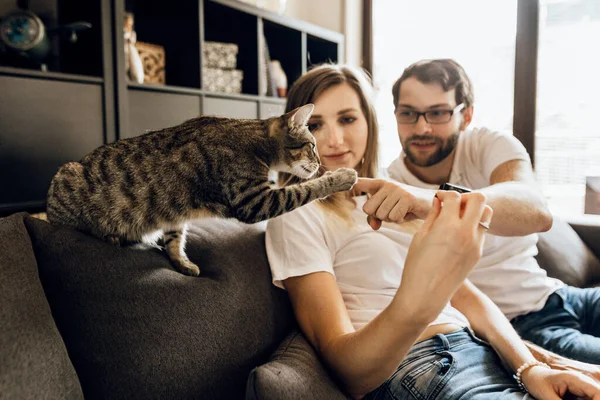 Happy family playing with adorable cat on sofa. Romantic couple in an embrace with gray black cat