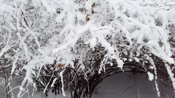 Schneeglätte Winter — Stockfoto