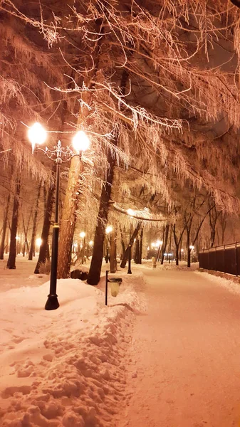 Βράδυ Στο Χάρκοβο Χειμερινό Πάρκο Και Λάμπα Του Δρόμου — Φωτογραφία Αρχείου