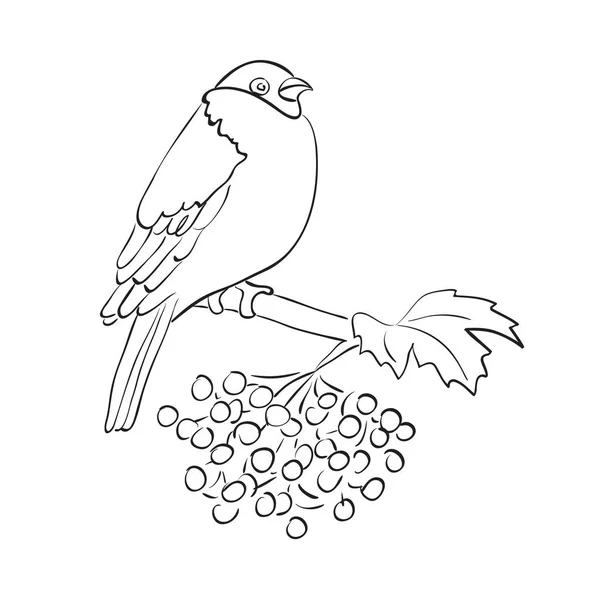 Silhouette Oiseau Assis Sur Branche Rowan Moineau Vecteur — Image vectorielle