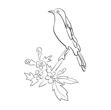 siluet vektör kuş şube çiçeklerle oturmak