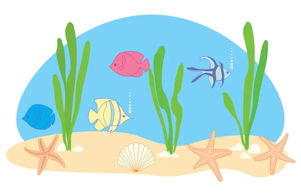 Ψάρια Και Αστέρες Της Θάλασσας Διανυσματική Απεικόνιση Της Θάλασσας Ενυδρείου — Διανυσματικό Αρχείο