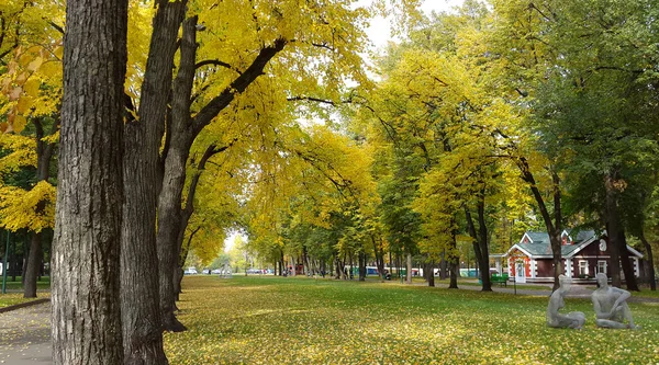 Kharkiv Stadspark Med Gula Träd Höstsäsong Ukraina 2019 — Stockfoto