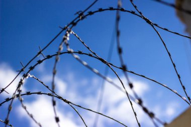 Mavi gökyüzüne karşı dikenli tel
