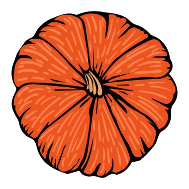 Balkabağı parlak turuncu dekoratif çizim izole edilmiş. 