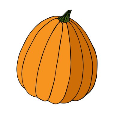 Renkli kabak çizimi beyaz arkaplanda izole edilmiş siyah çizgi