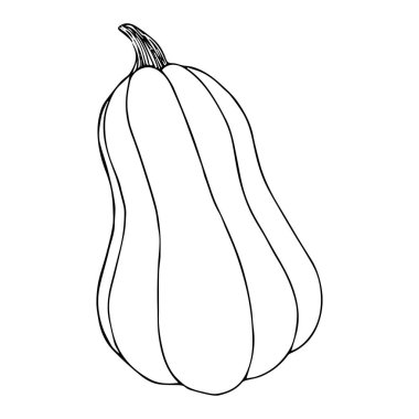 Kabak çizimi beyaz arkaplanda izole edilmiş siyah çizgi
