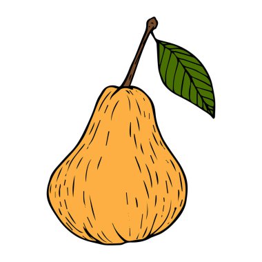 Sarı armut çizimi beyaz arkaplanda izole edilmiş siyah çizgi