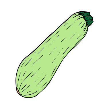 Beyaz arkaplanda izole edilmiş siyah çizgili kabak çizimi