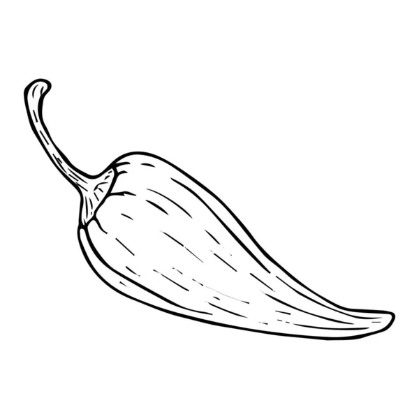 Esquisse de poivre ligne noire isolée sur fond blanc — Image vectorielle