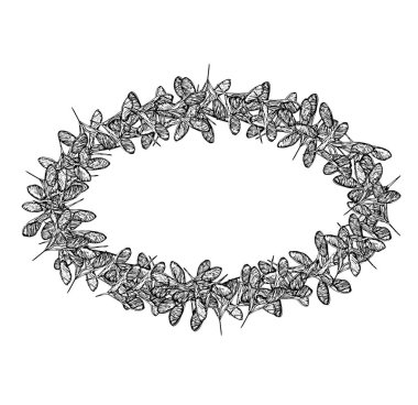 Yonca tohumları oval siyah çerçeve 01