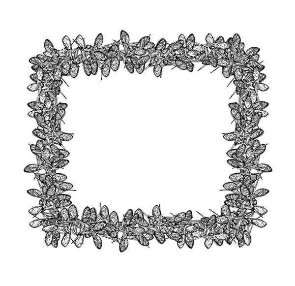 Trébol semillas marco cuadrado negro-01 — Archivo Imágenes Vectoriales