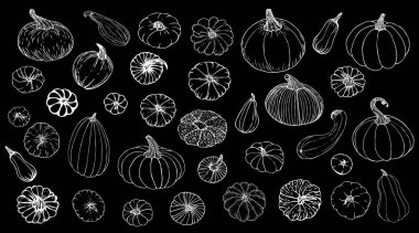 Siyah arkaplanda izole edilmiş çizim doğrusuyla kabaklar ayarlandı