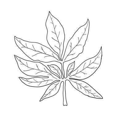 Beyaz arkaplanda siyah kontur çizgisi, dizayn ve dekor için stok vektör illüstrasyonu, logo, yazdırma, çıkartma, clipart