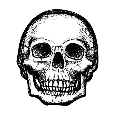 Bir insan kafatası çizimi, beyaz arkaplanda siyah bir taslak, tasarım ve dekorasyon için stok vektör çizimi, gotik, cadılar bayramı, poster, afiş