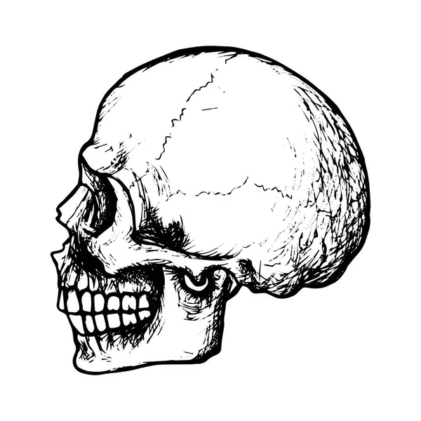 人間の頭蓋骨の側面図 白い背景の黒い輪郭 ストックベクトル図 デザインと装飾のための ゴシック ハロウィン ポスター バナーをスケッチ — ストックベクタ