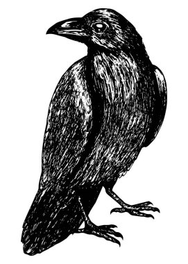 Tasarım ve dekor için stok vektör illüstrasyonu, çıkartma, baaner, oster, vintage