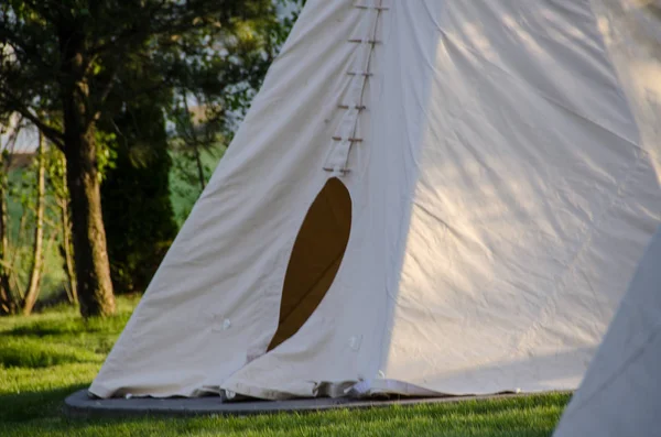 Tipi Solitari Piedi Tra Gli Alberi — Foto Stock