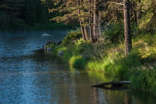 First Kiss Early Morning Sunlight Still Silent Lake — Stock Photo, Image