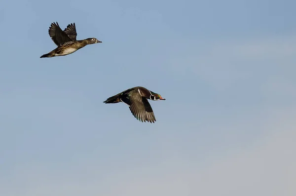 Dvě Dřevěné Kachny Létání Modré Obloze — Stock fotografie