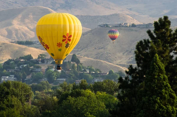 Early Morning Launch Hot Air Balloons — Stock Photo, Image