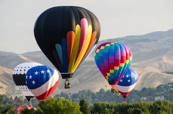 Vroege Ochtend Lancering Van Hete Lucht Ballonnen — Stockfoto