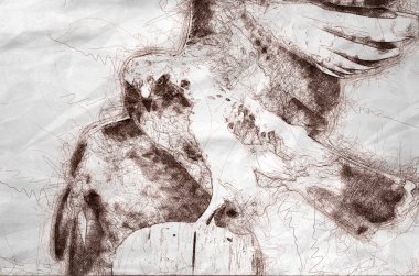 Kroki kırmızı - kuyruklu atmaca av bakan