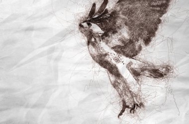 Kroki için uçakla kırmızı - kuyruklu şahin