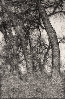 Ruh gölgeler karanlık dumanlı ormandaki taslağını