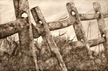 Ahşap raylı çit bir sisli bahar sabahı taslağını