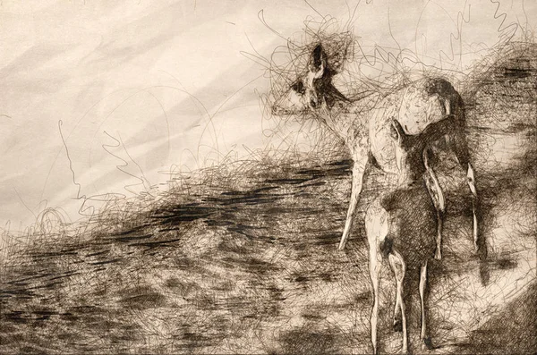 Sketch of a Family of Deer Walking Along the Edge of the Water