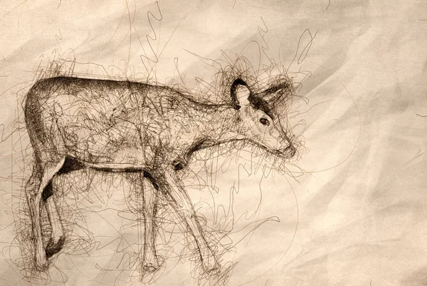 Sketch Deer Field — Stock Photo, Image