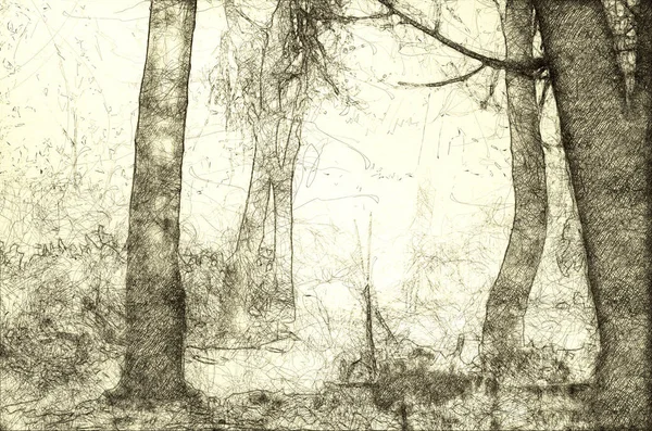 Skizze Eines Nebligen Waldes Einem Kalten Stillen Morgen — Stockfoto