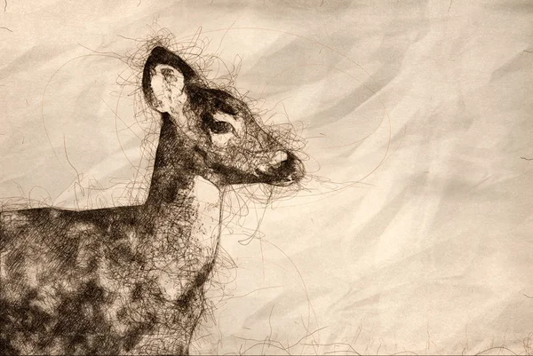 Sketch of a Close Profile of a Deer in the Field