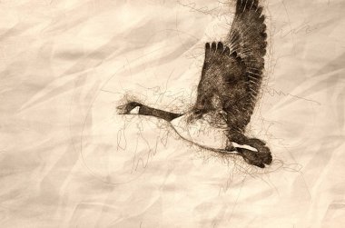 Kanada sonbahar Woods uçan kaz