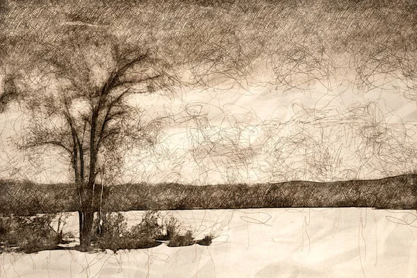 Trädet stående bredvid frusen sjö — Stockfoto