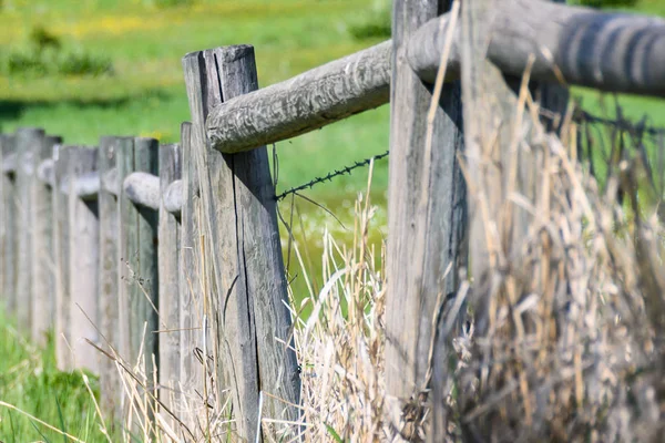 Weathered Wooden Fence Spring Morning — Stock Photo, Image