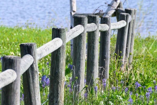 Weathered Wooden Fence Spring Morning — Stok Foto