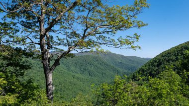 Appalachian Dağ Manzarası Blue Ridge Parkway boyunca