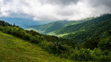 Appalachian Dağları 'nda bir yaz Blue Ridge Parkway boyunca görüldü.