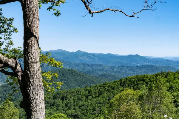 Primavera Appalachian Mountain View Lungo Blue Ridge Parkway — Foto Stock