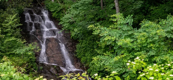 Uppfriskande Woodfin Cascade Längs Blue Ridge Parkway — Stockfoto