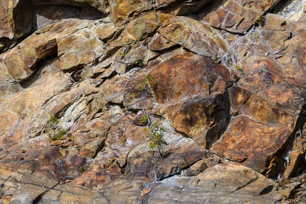 Naturaleza Resumen Patrón Creado Por Grietas Grietas Una Pared Roca — Foto de Stock